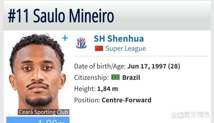 中超身价榜单申花排名第4 米内罗暴涨至180万欧元 中超身价榜单申花排名第4 米内罗暴涨至180万欧元